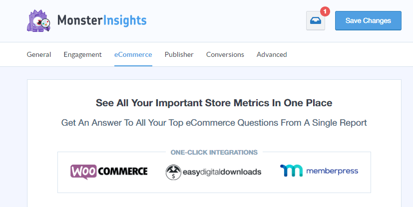 MonsterInsights